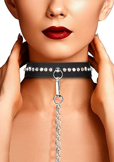 Diamond Studded Collar With Leash