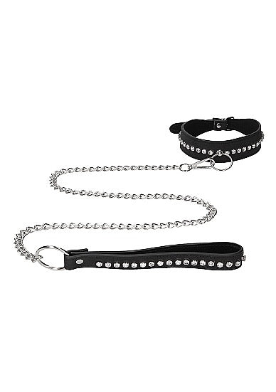 Diamond Studded Collar With Leash